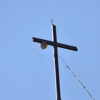 Le immagini da strada Borgo Tinasso