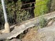 Sanremo: via Vallarino crolla ormai da 10 anni ma nessuno interviene, situazione al collasso (Foto)
