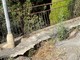 Sanremo: via Vallarino crolla ormai da 10 anni ma nessuno interviene, situazione al collasso (Foto) Sanremo: via Vallarino crolla ormai da 10 anni ma nessuno interviene, situazione al collasso (Foto)
