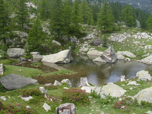 Domenica 23 giugno, escursione Attraverso le Alpi Liguri nel 'Parc National du Mercantour' Domenica 23 giugno, escursione Attraverso le Alpi Liguri nel 'Parc National du Mercantour'