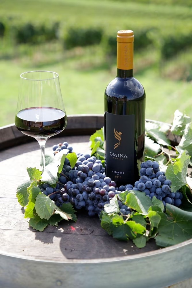 Serata enogastronomica imperdibile all'Osteria del Tempo Stretto! Serata enogastronomica imperdibile all'Osteria del Tempo Stretto!