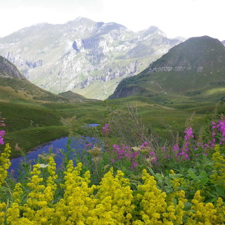 Domenica prossima appuntamento con panorami da cartolina nell'escursione sulla 'Via del Sale'