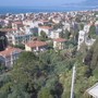 Bordighera, ordinanza del sindaco: saranno abbattuti 14 alberi comunali ritenuti a rischio per motivi di pubblica sicurezza Bordighera, ordinanza del sindaco: saranno abbattuti 14 alberi comunali ritenuti a rischio per motivi di pubblica sicurezza