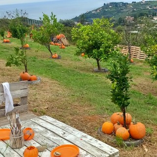 Sanremo: torna a Zollamania il 'Villaggio delle Zucche', tre weekend di magia, creatività e natura in Liguria