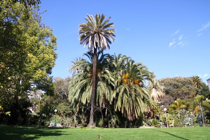 Sanremo: un nuovo illustre ospite per Villa Ormond, il primo giorno di primavera arriverà la statua 'Flora' Sanremo: un nuovo illustre ospite per Villa Ormond, il primo giorno di primavera arriverà la statua 'Flora'