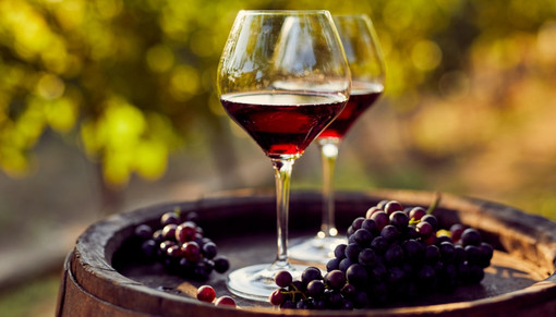 Produzione vinicola in provincia: vendemmia ai primi di settembre, si conferma l'ottima qualità delle nostre uve