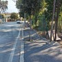 Sanremo: via Padre Semeria, non sono i pini il problema ma errori strutturali e manutenzione assente da anni