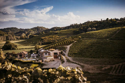 Vinicola Arno: passione, eco-sostenibilità e ospitalità di charme nel cuore del Monferrato Vinicola Arno: passione, eco-sostenibilità e ospitalità di charme nel cuore del Monferrato