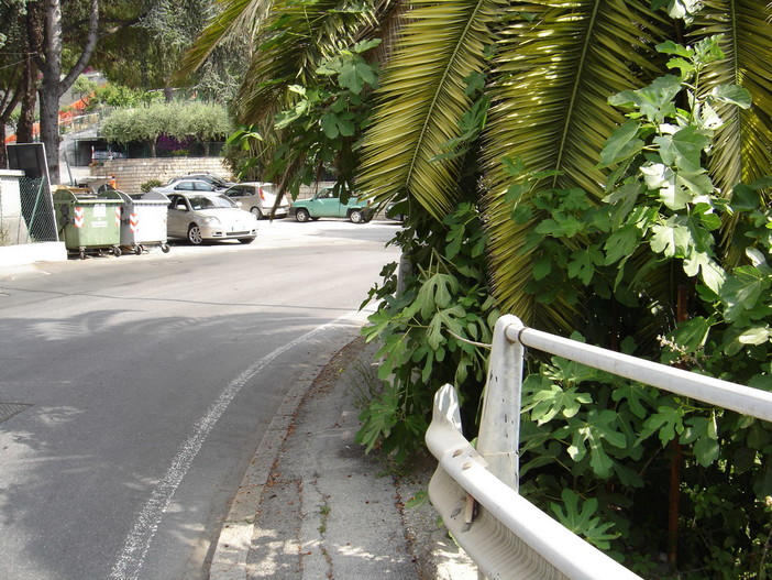 Sanremo: deiezioni canine in via Padre Semeria, la mail della nostra lettrice Alessandra