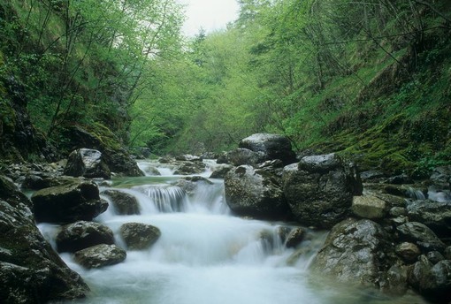 Dolceacqua: al Visionarium viaggio alla scoperta delle "Recondite Armonie" della Val Nervia