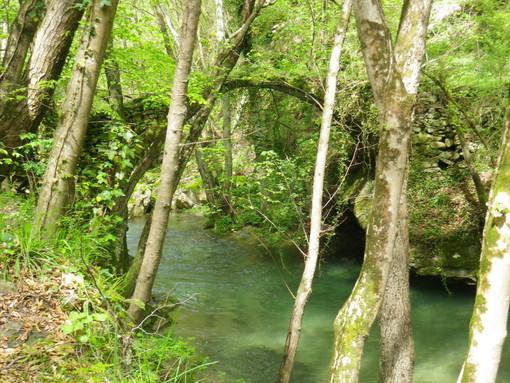 Domenica prossima, escursione 'Attraverso le Alpi Liguri' da Alto alla scoperta dei tesori della Val Pennavaira