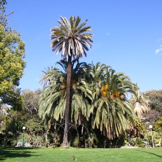 Sanremo: anche quest’anno il Parco di Villa Ormond conquista un posto tra i “Grandi Giardini Italiani”