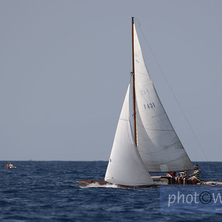 Imperia: alle Vele una particolare mostra grazie al Lions 'La Torre'