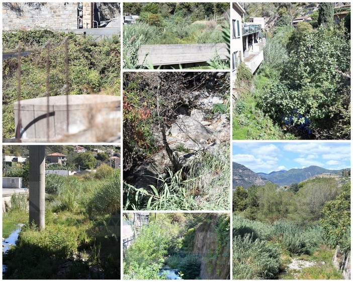 Nelle Marche l'ultima gravissima alluvione: in provincia rii e torrenti ancora da pulire, serve intervenire subito (Foto)