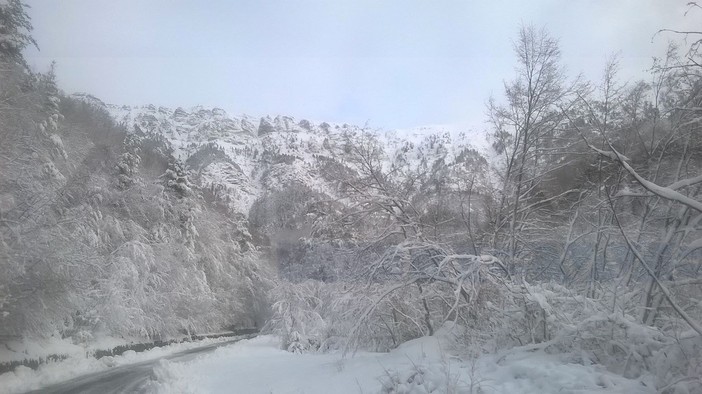 Nevicata di stanotte sulle Alpi Marittime: ecco le immagini di Gianni Bracco stamani a Verdeggia Nevicata di stanotte sulle Alpi Marittime: ecco le immagini di Gianni Bracco stamani a Verdeggia