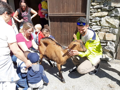 Visita didattica per i bimbi di Villa Peppina di Sanremo alla fattoria di Agaggio (Foto)