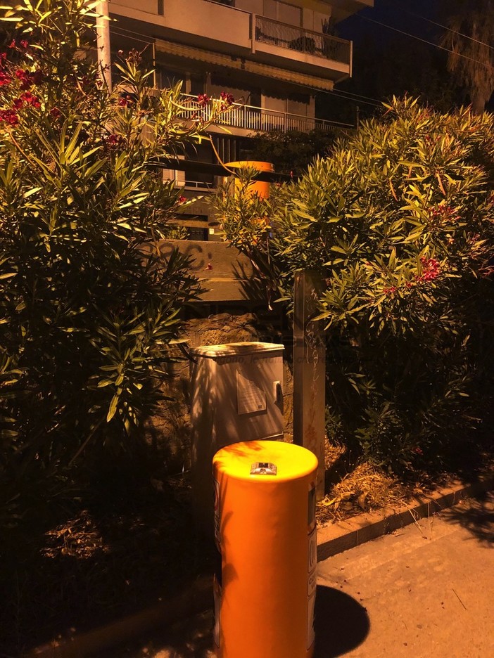 Il 'Velo Ok' divelto in corso Marconi Il 'Velo Ok' divelto in corso Marconi