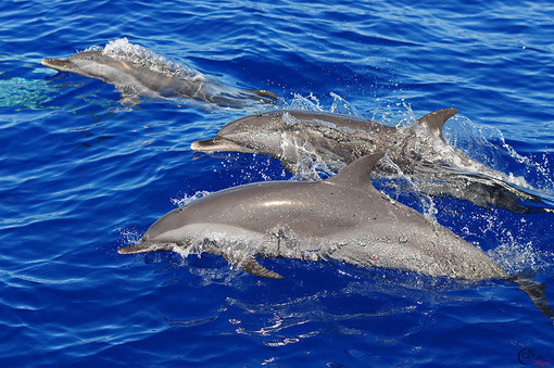 Tutti gli appuntamenti e manifestazioni da lunedì 4 a domenica 10 settembre in Riviera e Côte d'Azur