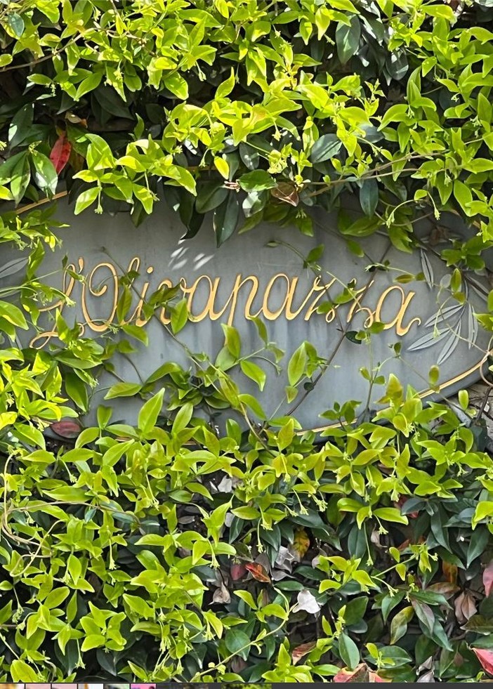 Cipressa: due serate a tema al Ristorante Olivapazza. Cucina vegana e un omaggio a Fabrizio de Andrè Cipressa: due serate a tema al Ristorante Olivapazza. Cucina vegana e un omaggio a Fabrizio de Andrè