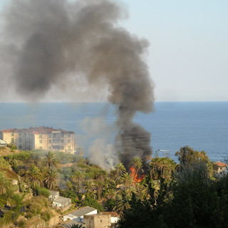 Cervo: incendio boschivo a Rollo, i vigili del fuoco stanno arrivando sul posto