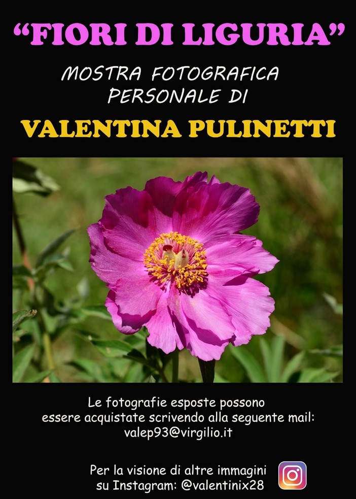 La fotografa Valentina Pulinetti espone i fiori di Liguria più belli a Imperia La fotografa Valentina Pulinetti espone i fiori di Liguria più belli a Imperia