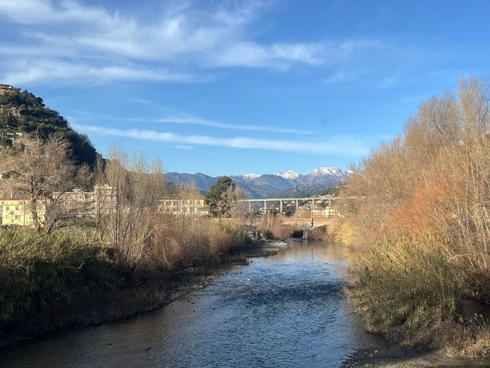 A Camporosso una mattinata dedicata al mare: le scuole inaugurano il pannello sulla Cymodocea nodosa A Camporosso una mattinata dedicata al mare: le scuole inaugurano il pannello sulla Cymodocea nodosa