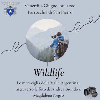 Sanremo, "Wildlife" in esposizione alla parrocchia di San Pietro