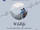 Sanremo, "Wildlife" in esposizione alla parrocchia di San Pietro
