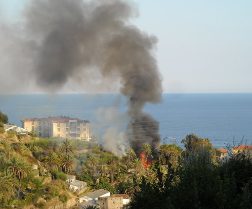 Cervo: incendio boschivo a Rollo, i vigili del fuoco stanno arrivando sul posto Cervo: incendio boschivo a Rollo, i vigili del fuoco stanno arrivando sul posto
