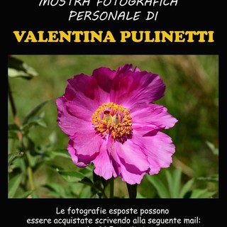La fotografa Valentina Pulinetti espone i fiori di Liguria più belli a Imperia