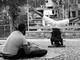 Ventimiglia: a settembre nella città alta l'associazione Barlume propone lezioni di yoga