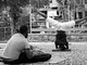 Ventimiglia: a settembre nella città alta l'associazione Barlume propone lezioni di yoga Ventimiglia: a settembre nella città alta l'associazione Barlume propone lezioni di yoga
