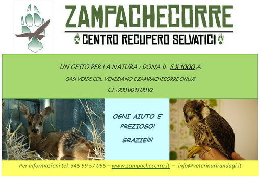 Le raccomandazioni del centro recupero selvatici 'Zampachecorre' di Imperia