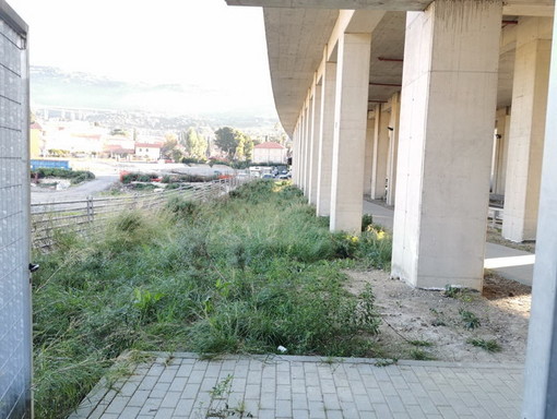 Imperia: zone incolte vicino alla stazione, Imperia al Centro "Potrebbero servire per parcheggi anche coperti" Imperia: zone incolte vicino alla stazione, Imperia al Centro "Potrebbero servire per parcheggi anche coperti"