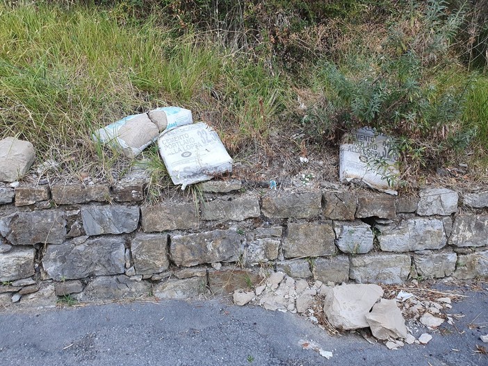 I rifiuti abbandonati in strada Golf