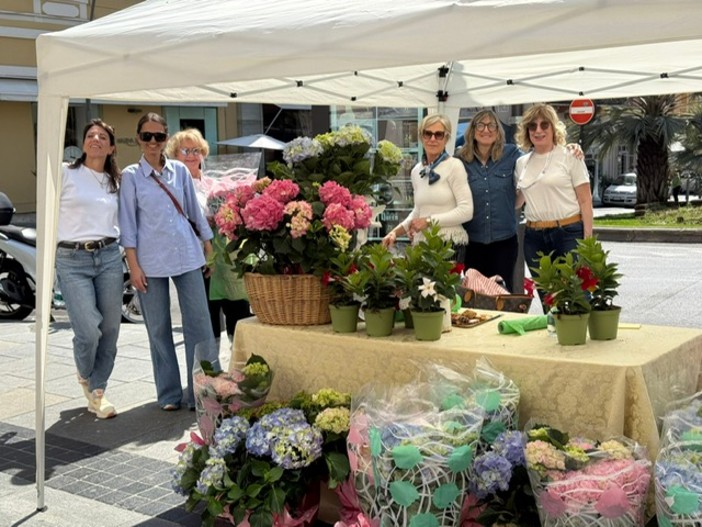 Vendita di piante ornamentali a scopo benefico, gazebo di Zonta Club di Sanremo in via Matteotti (Foto)