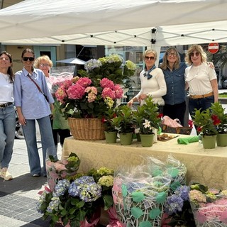 Vendita di piante ornamentali a scopo benefico, gazebo di Zonta Club di Sanremo in via Matteotti (Foto)