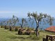 Covid: vacanza in campagna per un italiano su 5, la rivoluzione green spinge la scelta turistica Covid: vacanza in campagna per un italiano su 5, la rivoluzione green spinge la scelta turistica