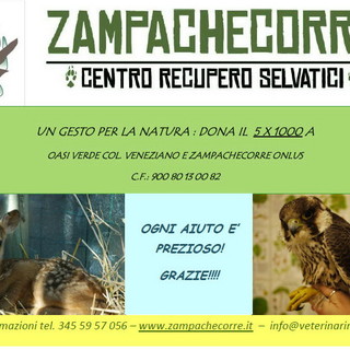 Le raccomandazioni del centro recupero selvatici 'Zampachecorre' di Imperia Le raccomandazioni del centro recupero selvatici 'Zampachecorre' di Imperia