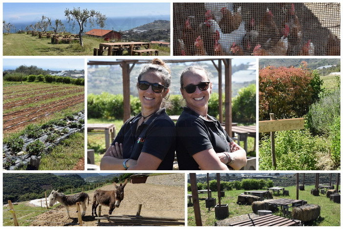 Sanremo: 'ZollaMania', a pochi passi dal centro un'azienda agricola ma anche una fattoria didattica.. e non solo (Foto e Video)