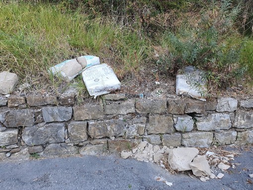 I rifiuti abbandonati in strada Golf