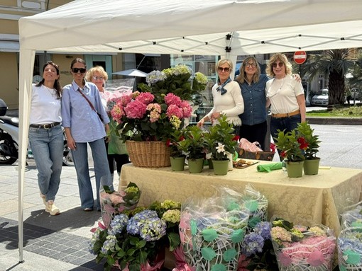Vendita di piante ornamentali a scopo benefico, gazebo di Zonta Club di Sanremo in via Matteotti (Foto)