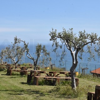 Covid: vacanza in campagna per un italiano su 5, la rivoluzione green spinge la scelta turistica Covid: vacanza in campagna per un italiano su 5, la rivoluzione green spinge la scelta turistica