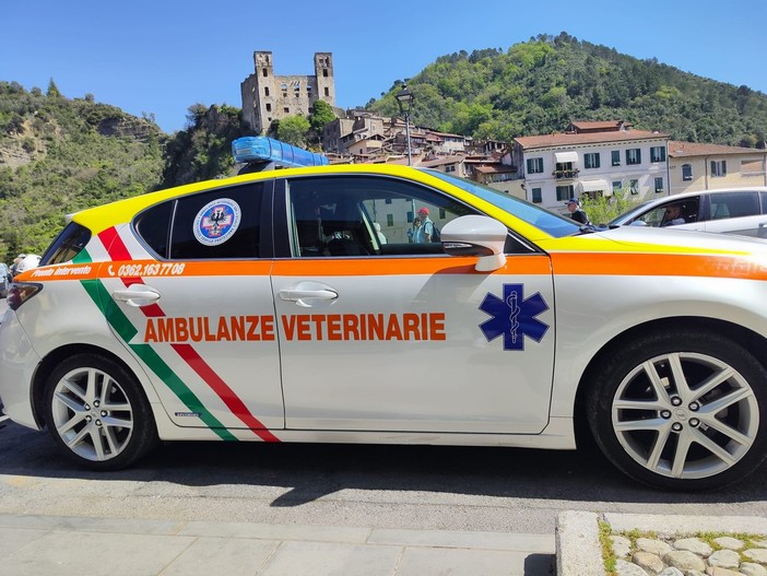 Dolceacqua, Ambulanze Veterinarie Odv solidale: dona il 50% delle entrate a Make-A-Wish Dolceacqua, Ambulanze Veterinarie Odv solidale: dona il 50% delle entrate a Make-A-Wish