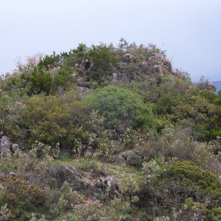 Ventimiglia: ArcheoNervia annuncia il ritrovamento di un 'castellaro' in località Strafurcu Ventimiglia: ArcheoNervia annuncia il ritrovamento di un 'castellaro' in località Strafurcu