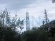 Diano Marina, installazione dell'antenna telefonica ai 'Pini del rosso', i residenti protestano: "È un patrimonio naturale svenduto ai privati, bisogna difenderlo" (foto)