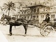 commerciante che va la mercato di Sanremo