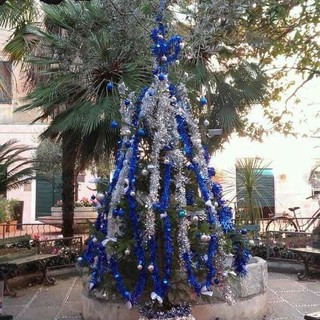 Imperia: posizionato questa mattina l'albero di Natale dei cittadini in piazza Bianchi Imperia: posizionato questa mattina l'albero di Natale dei cittadini in piazza Bianchi