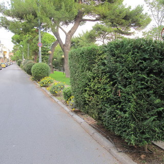 Sanremo: avviata la procedura per l'affidamento del servizio biennale di manutenzione del verde pubblico