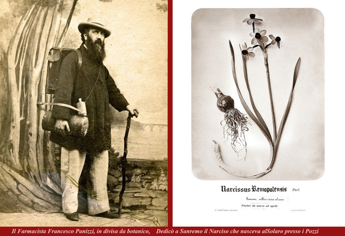 'Sanremo e l'Europa', la mostra a Santa Tecla: quando Francesco Panizzi dedicò un Narciso a Sanremo